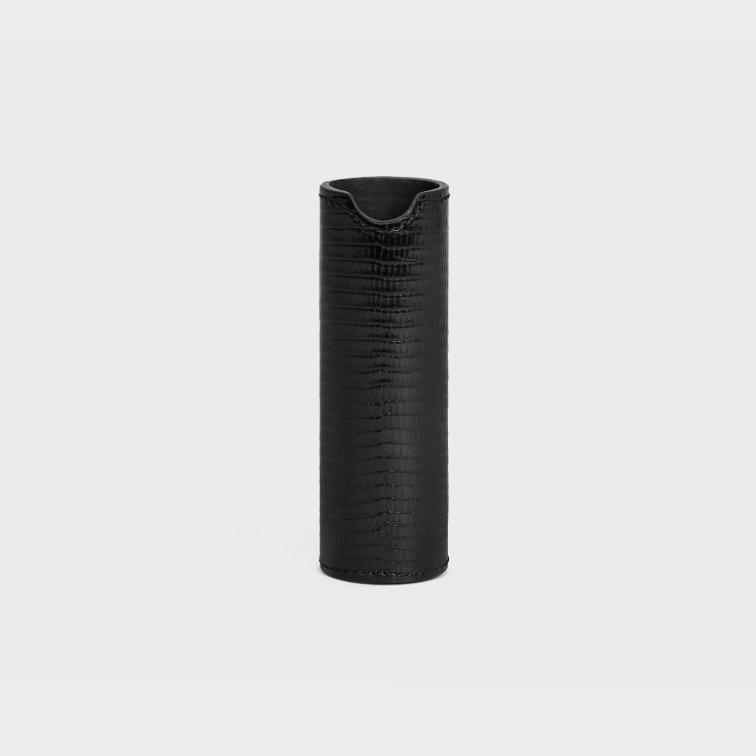 Travel Spray Case in Lizard