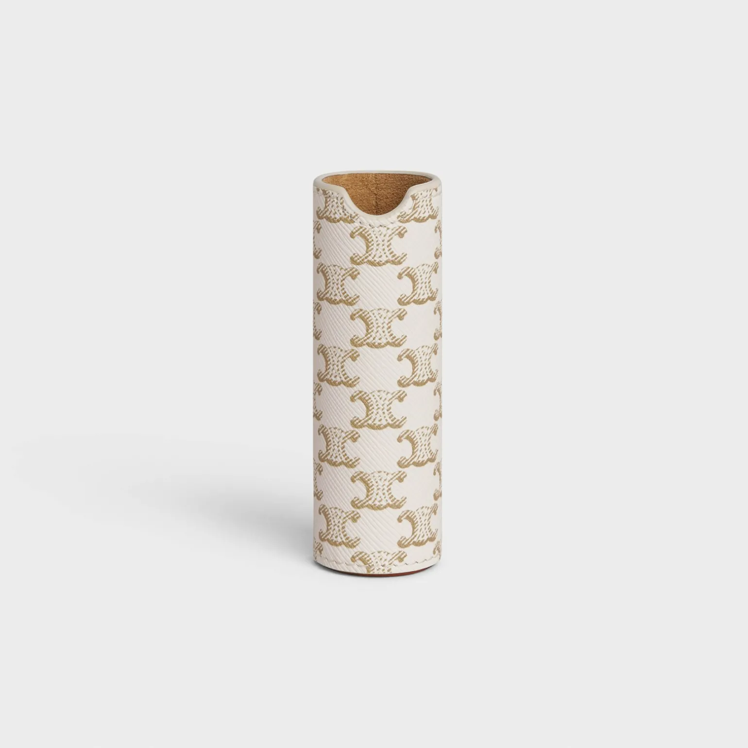 TRAVEL SPRAY Case in Triomphe Canvas and Calfskin
