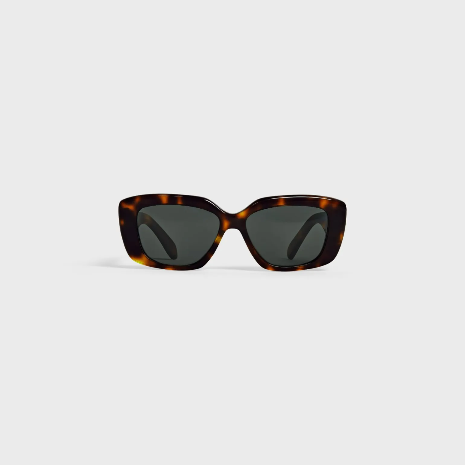 Triomphe 04 sunglasses in Acetate