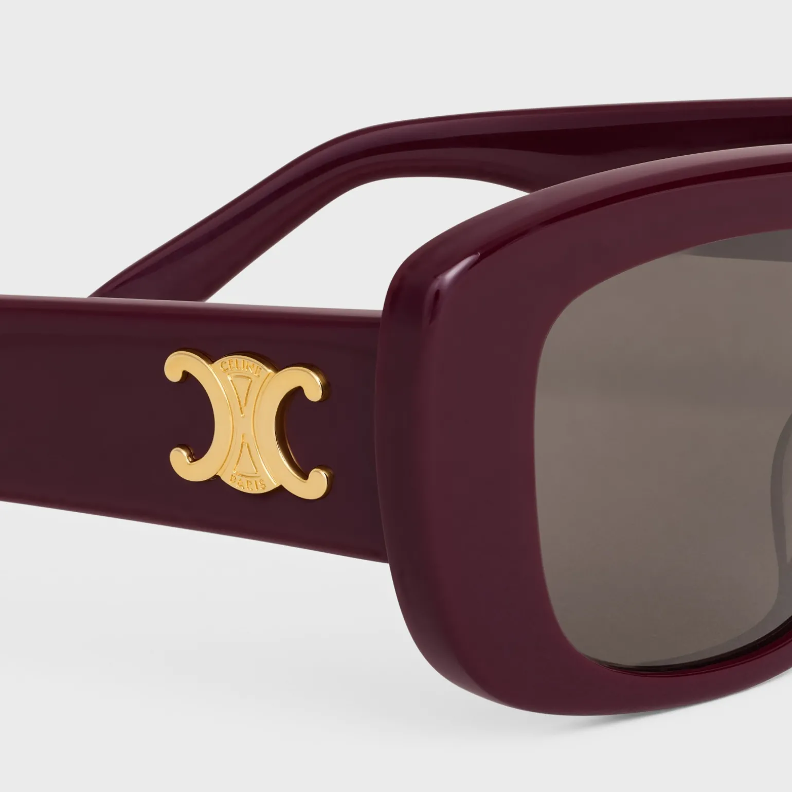 Triomphe 04 Sunglasses in Acetate