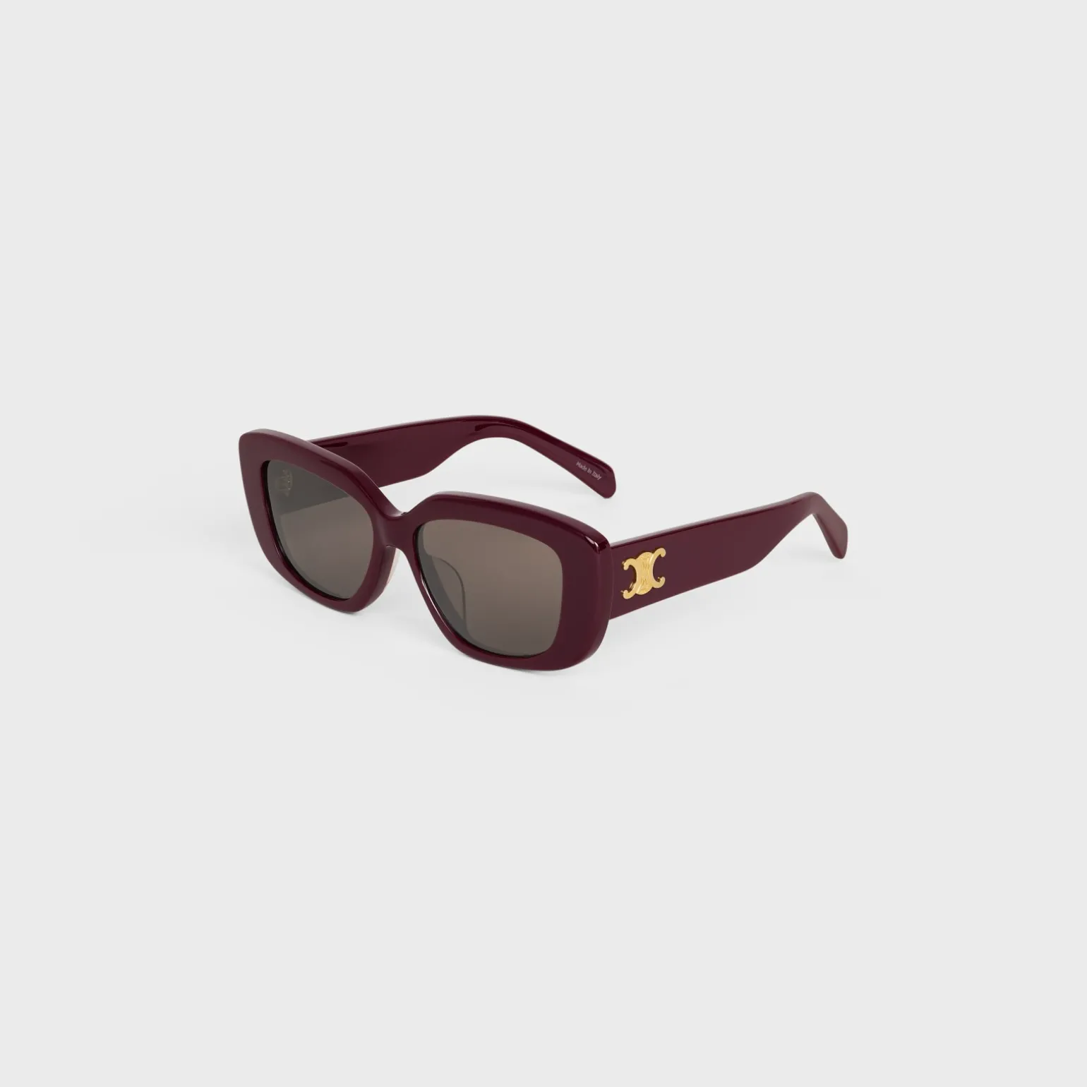 Triomphe 04 Sunglasses in Acetate