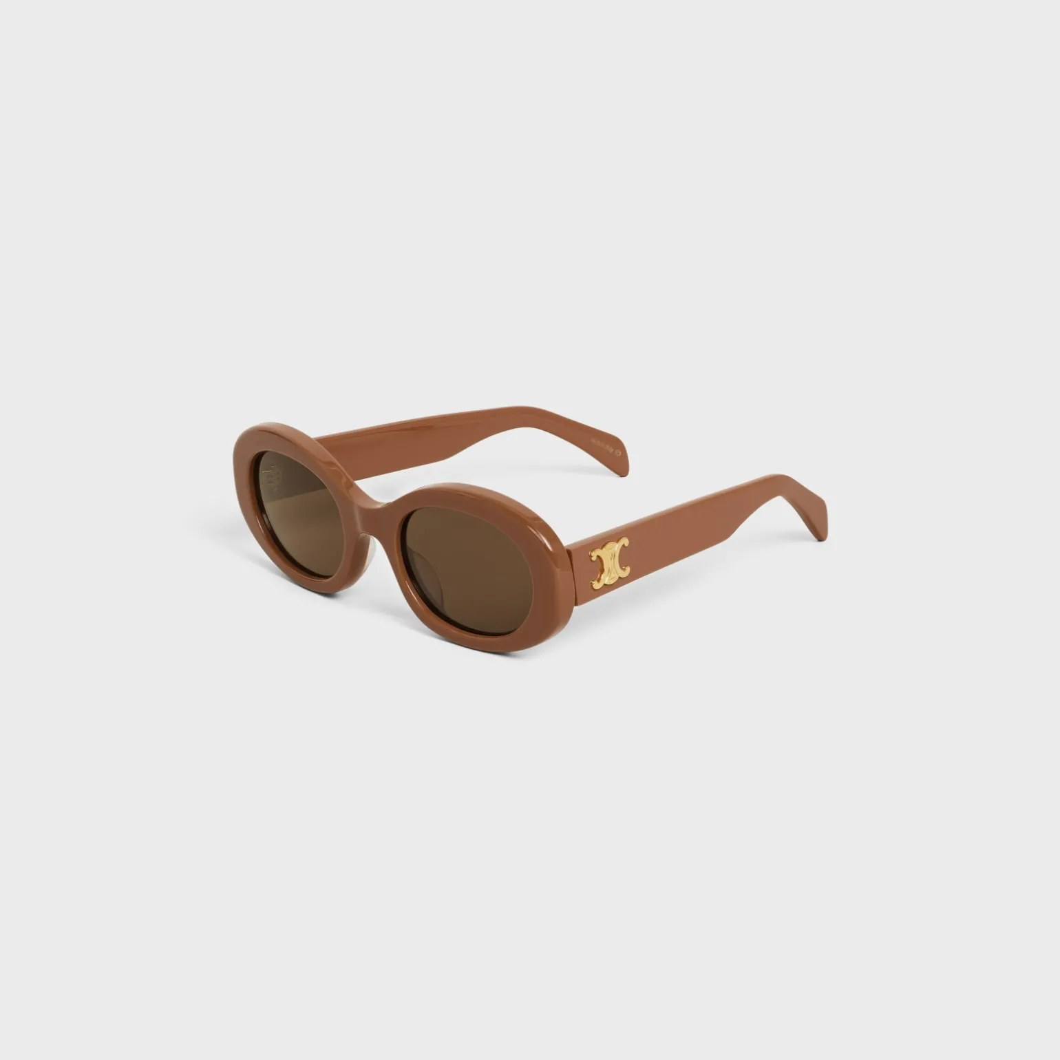 Triomphe 01 Sunglasses in Acetate