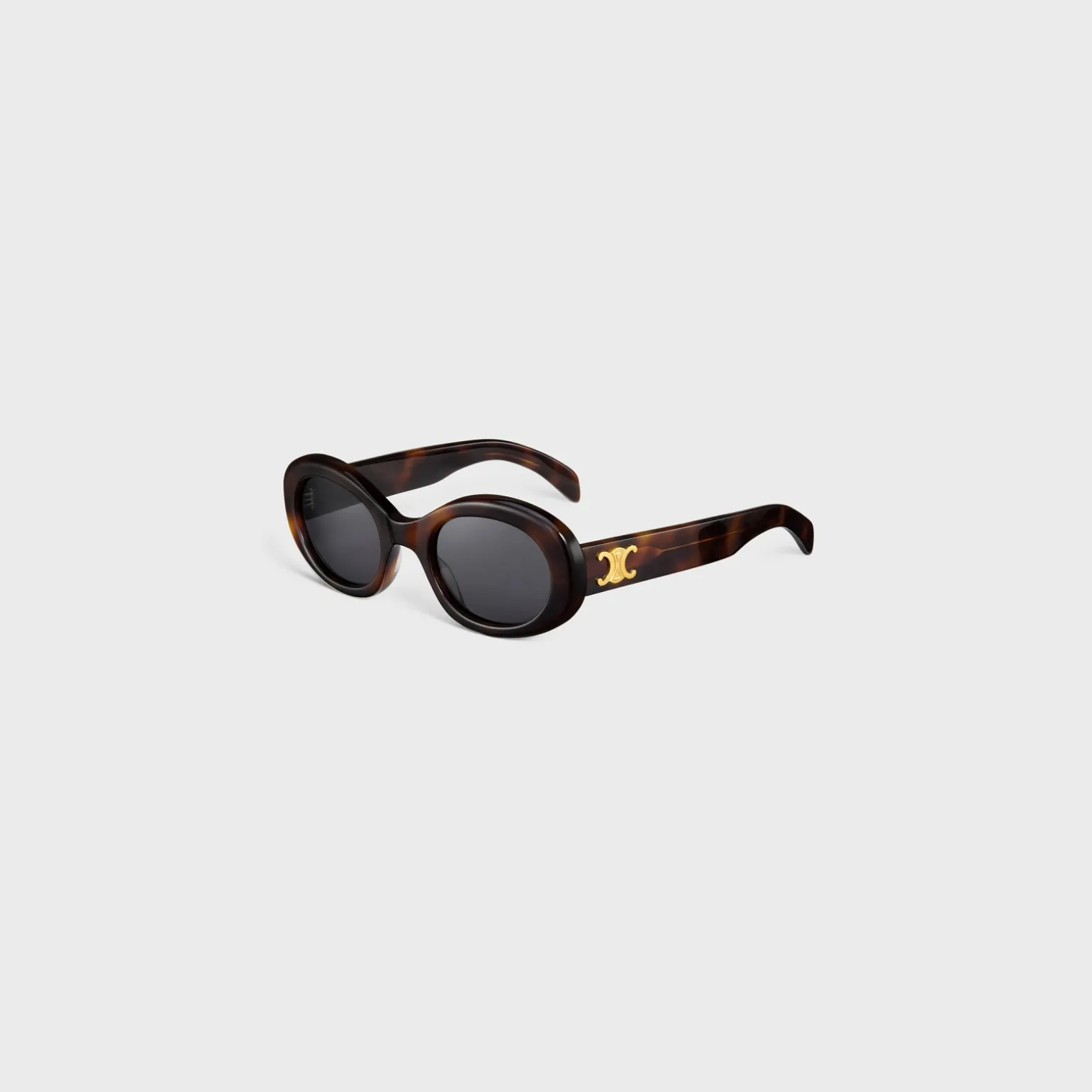 Triomphe 01 sunglasses in Acetate