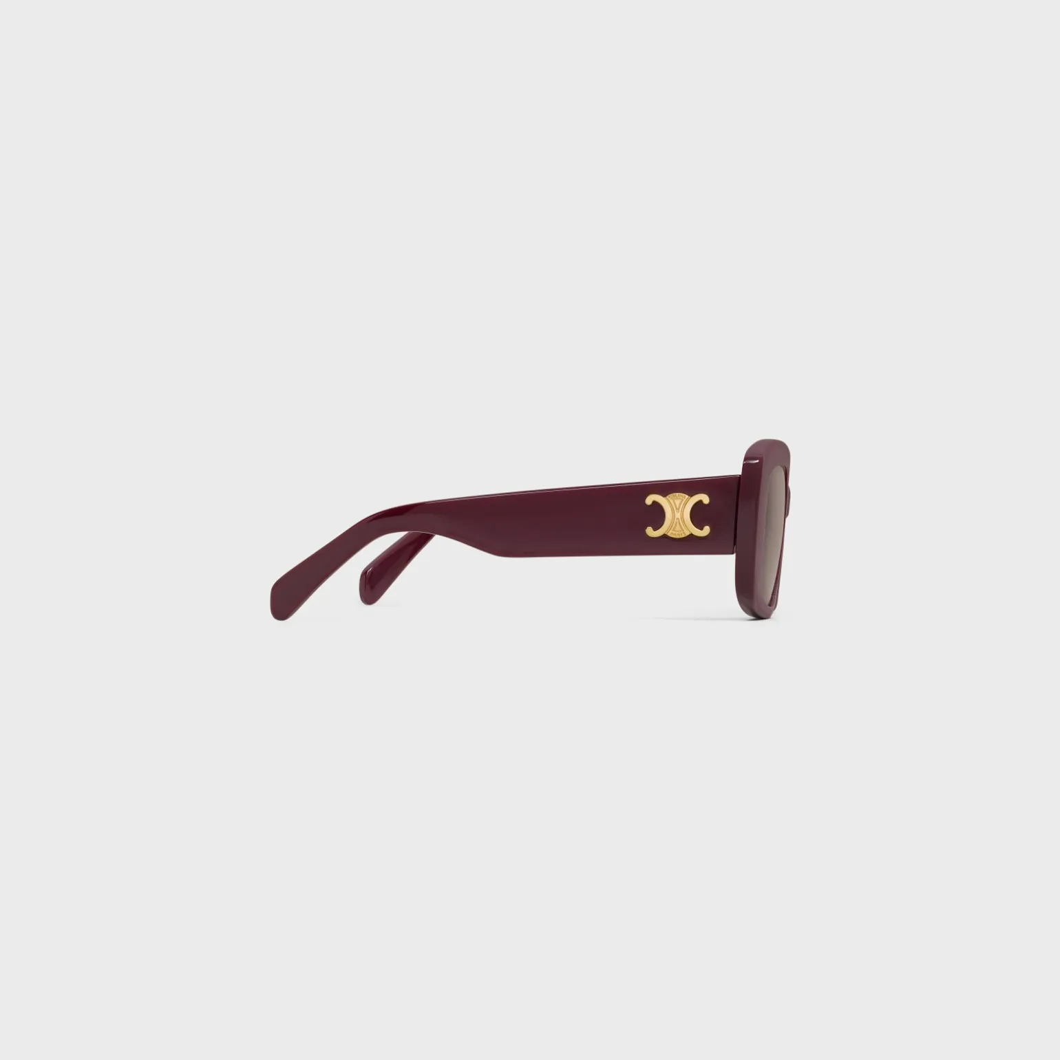 Triomphe 04 Sunglasses in Acetate