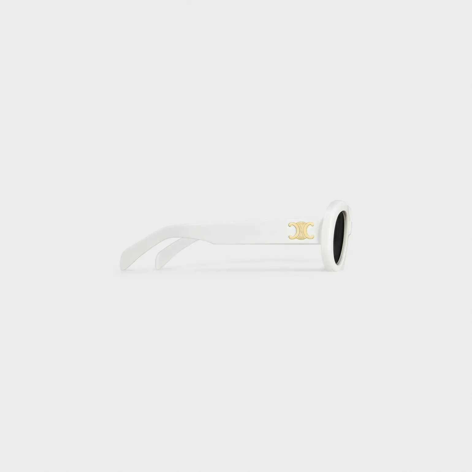 Triomphe 01 sunglasses in Acetate