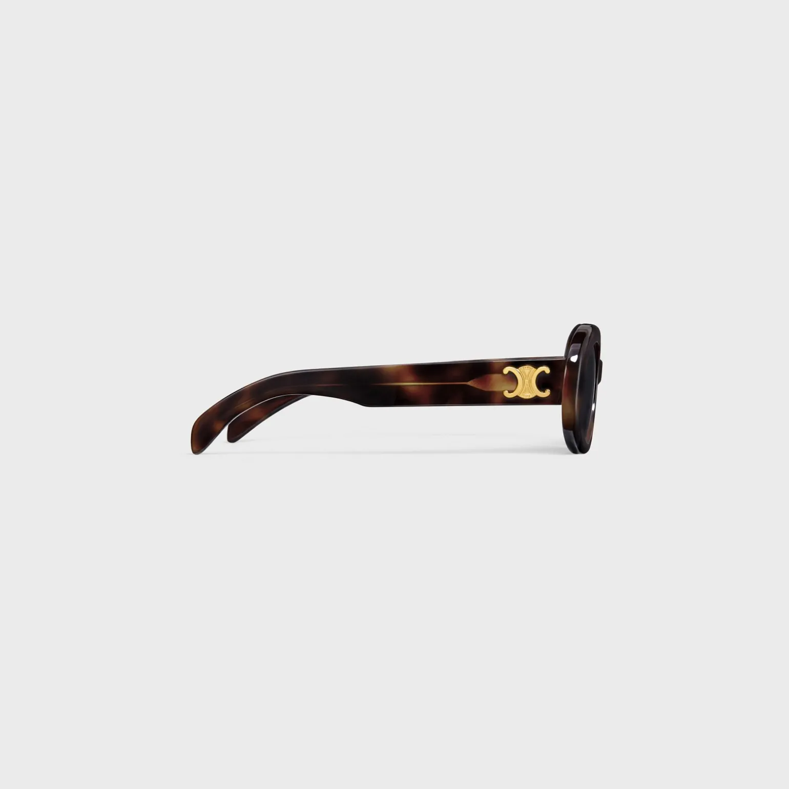 Triomphe 01 sunglasses in Acetate