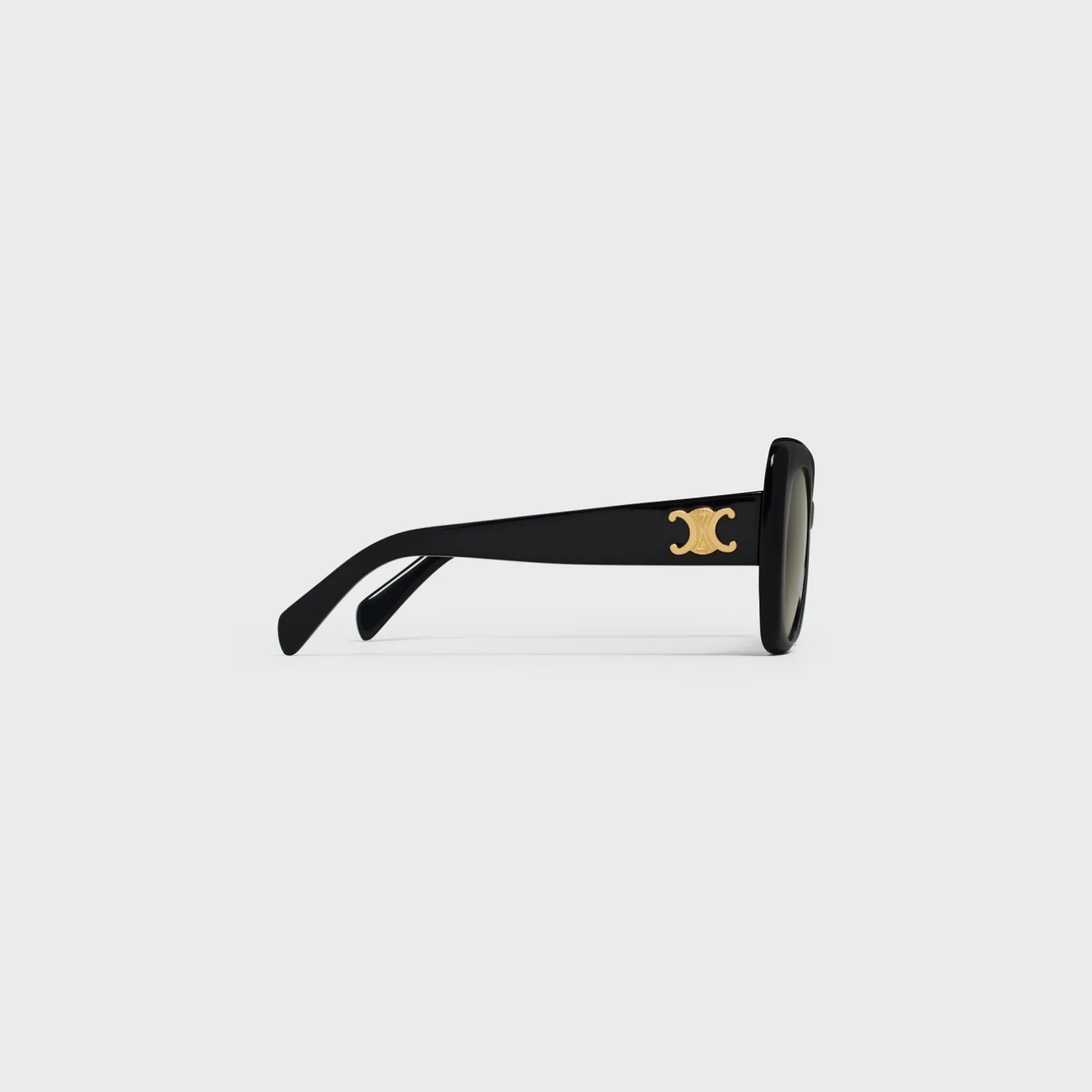 Triomphe 06 Sunglasses in Acetate