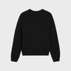 triomphe crew neck sweater in wool and cashmere