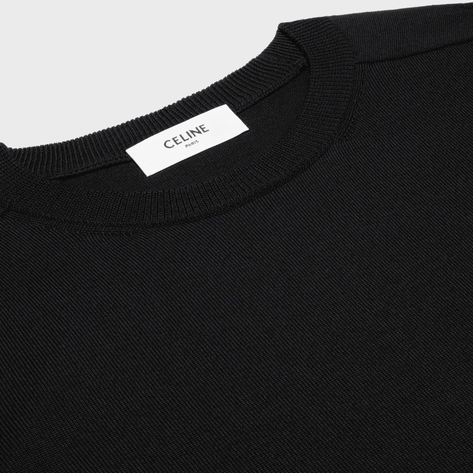 triomphe crew neck sweater in wool